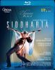 Siddharta. Ballet af Angelin Preljocaj. Musik af Bruno Mantovani. Bluray