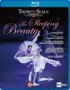 Tchaikovsky. Ballet Tornerose. Nuereyev koreografi (BluRay)