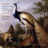 Händel / Purcell: Trio Sonata, Op. 5 No. 4 / Silete Venti HWV242 / Music for a while m.m.
