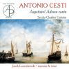 Cesti A.: Chamber Cantatas