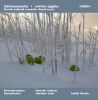 Sibelius / Kuula / Maasalo: Winter Apples (Works for Choir)