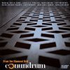 Diverse: From the Diamond Grid