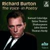Diverse: The Voice - In Poetry
