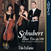Schubert, Franz: Piano Trios, Vol.  2
