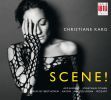 Haydn / Mozart / Beethoven / Mendelssohn: Scene