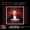 Beethoven: Piano Sonatas V. 4