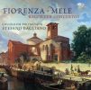 Fiorenza, Niccolo: Recorder Concertos