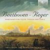 Beethoven / Reger: Serenader for fløjte, violin og bratch