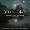 Rheinberger, Brahms, Herzogenberg. Orpheus Vokalensemble