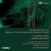 Puccini Messa di Gloria. Verdi Quattro pezzi sacri. Hans-Chr. Rademann (2 CD)