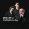 Strygetrioer af Schönberg, Webern og Schnittke