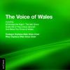 VARIOUS: VOICE OF WALES
