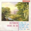 Beethoven: Serenade / Trio