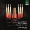 Franz Liszt. Julius Reubke. 19th Century Organ Works. CD