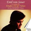 Sauer Emil Von: Etuder, Vol.  2 m. m.