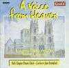 Diverse: A voice from Heaven