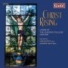 Diverse: Christ Rising