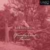 Beethoven: Trio in G major / Serenade in D major / Trio in B flat Major