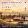 Johann Wilhelm Wilms. Kammermusik med fløjte vol. 2
