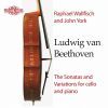 Beethoven: Cellosonater&Variationer (2 CD)