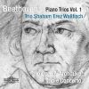 Beethoven. Klavertrios. Vol. 1. Trio Shaham Erez Wallfisch