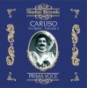 Diverse: Enrico Caruso in Opera -, Vol.  2