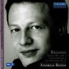 Brahms: Solo Piano Works V. 2 (2 CD)