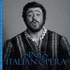 Diverse: Sings Italian Opera