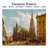 Haydn/ Mozart / Schubert / Lanner m.fl.: Danse Fra Wien
