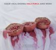 James Weeks: Mala Punica