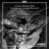 J.S. Bach: Dialog-Kantaten