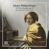 Johann Philipp Krieger. 12 triosonater. Echo du Danube (2 CD)