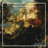 Heinichen, Johann David: Koncerter & Sonater