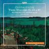 Christian Sinding. Klavertrios nr 1-3 (2 CD)