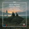 Hans Pfitzner. Chamber Works.  5CD