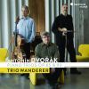 Dvorak. Klavertrioer. op. 65 & 90. Trio Wanderer