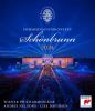 Sommernachtskoncert Schönbrunn 2024. Lise Davidsen. Andris Nelsons (BluRay)