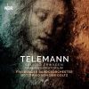Telemann. Seliges Erwägen. Passionsoratorium (2 CD)
