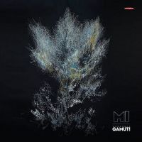 Ensemble Gamut. MI. Ny cross over fra Finland