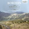 Borodin: Symphony No.  1 - 3 / In the Steppes of Central Asia (2 CD)