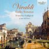 Antonio Vivaldi: Cello Sonatas