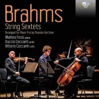Brahms: String Sextets arr. f. Piano Trio