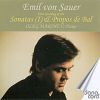 Emil von Sauer: Sonatas (I) & Propos de Bal / Oleg Marshev